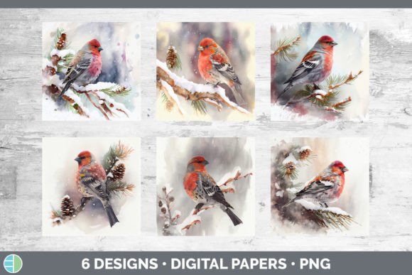 Christmas Pine Grosbeak Backgrounds Di: Premium Illustrations